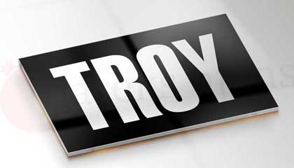 Troy Logo Tasarımı Antalya